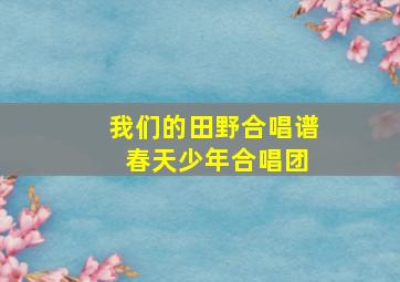 我们的田野合唱谱 春天少年合唱团